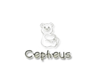 Cepheus' photo journal